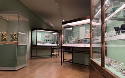 New display at Bristol Museum & Art Gallery